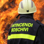Vigili del Fuoco in azione