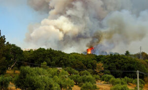 BELFORTE: Divampa un vasto incendio